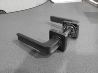 Ручка розет Gavroche Californium