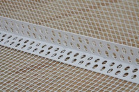 Кут перфорований пластик, з сіткою 3м