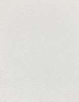 Панель ламінована ПВХ "Decomax" Інтонако біла 0.25х2.7м 8мм