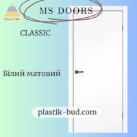 Двері  "MS Doors" FASHION - Classic  (На замовлення)