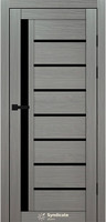 Міжкімнатні двері Syndicate  SD-101  Венге модерна чорне скло